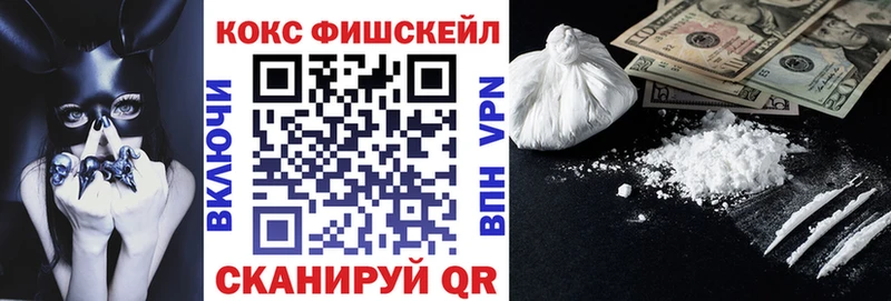 Cocaine Эквадор  mega ONION  Ярославль 